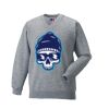 Russell Schoolgear Kids V Neck Sweatshirt Thumbnail
